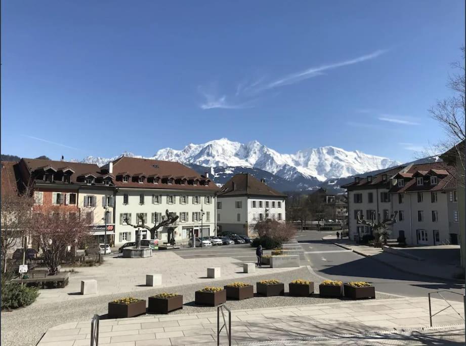 Spacieux Au Pays Du Mont-blanc