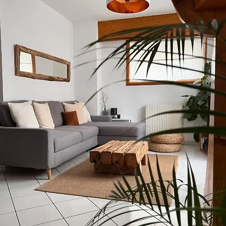 Appartement Spacieux Au Pays Du Mont-Blanc Sallanches Exterior photo