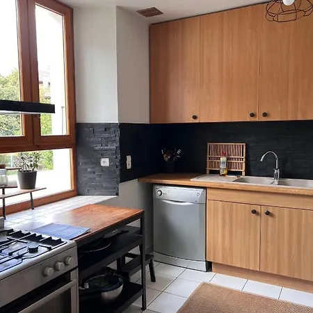 Appartement Spacieux Au Pays Du Mont-Blanc Sallanches Exterior photo